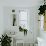 Frameless Showers & Sliding Doors: Transforming Your Home's Indoor-Outdoor Living