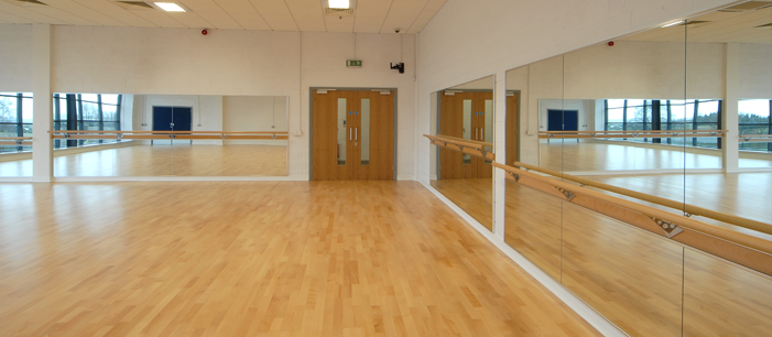 Dance Mirrors